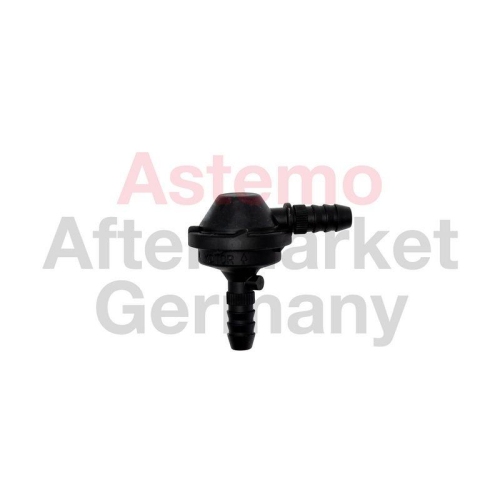 ASTEMO R&uuml;ckschlagventil 2509316