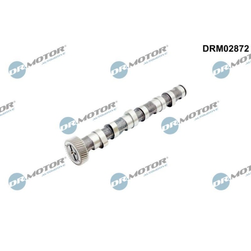 Dr.Motor Automotive Nockenwelle DRM02872