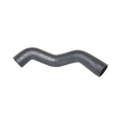 BUGIAD Ladeluftschlauch 88506