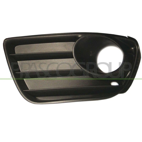 PRASCO L&uuml;ftungsgitter, Sto&szlig;f&auml;nger FT3402134