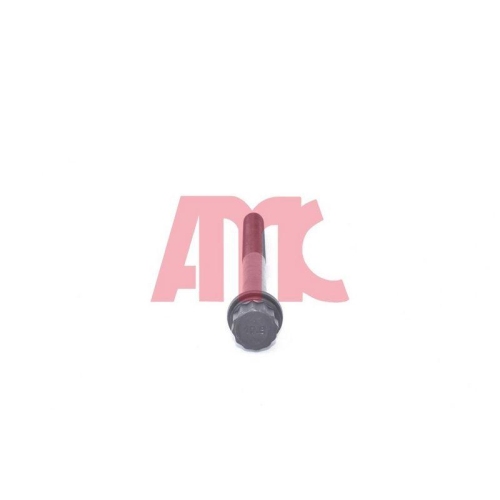 AMC Zylinderkopfschraubensatz 258751