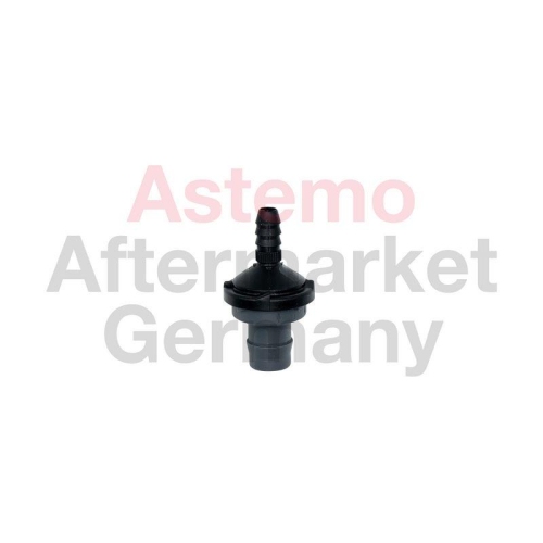 ASTEMO R&uuml;ckschlagventil 2509320