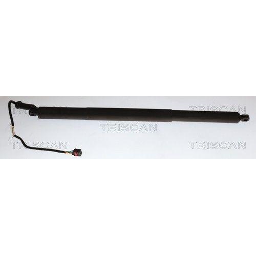 TRISCAN Gasfeder, Koffer-/Laderaum 8710 29337