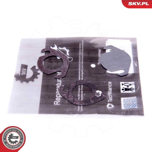 ESEN SKV Reparatursatz, AGR-Ventil 14SKV539