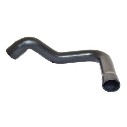 BUGIAD Ladeluftschlauch 88731