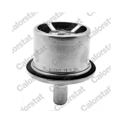 CALORSTAT by Vernet Thermostat, Kühlmittel THS19099.87