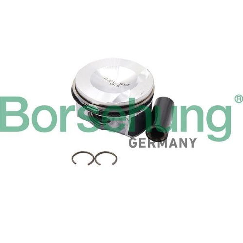 Borsehung Kolben B18993