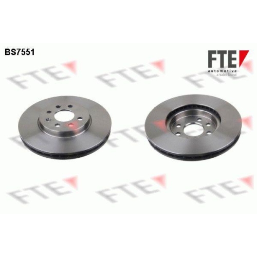 FTE Bremsscheibe 9072149