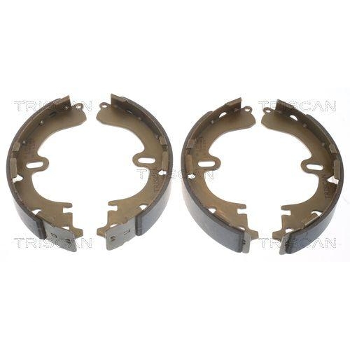 TRISCAN Bremsbackensatz 8100 13501