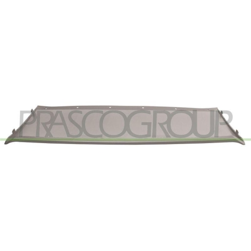 PRASCO Zier-/Schutzleiste, Sto&szlig;f&auml;nger FD8041812