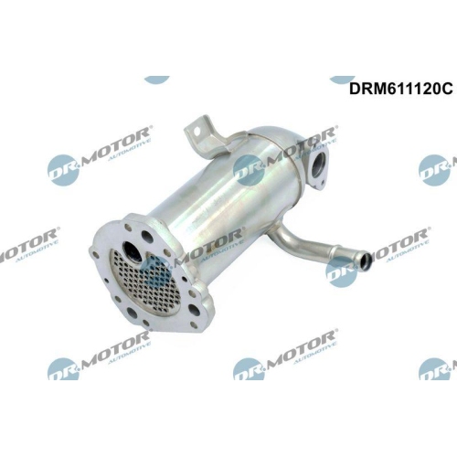 Dr.Motor Automotive K&uuml;hler, Abgasr&uuml;ckf&uuml;hrung DRM611120C