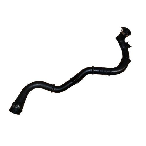 BUGIAD Ladeluftschlauch 88760