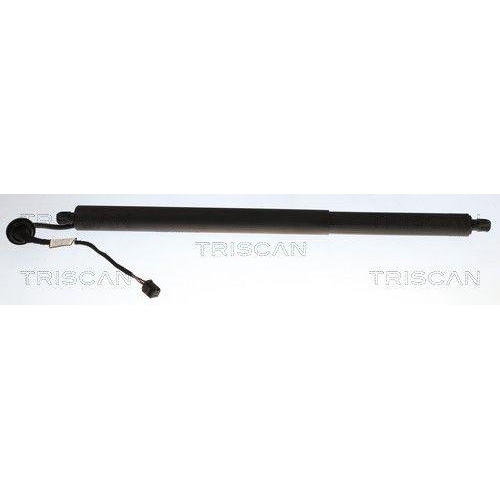 TRISCAN Gasfeder, Koffer-/Laderaum 8710 27319