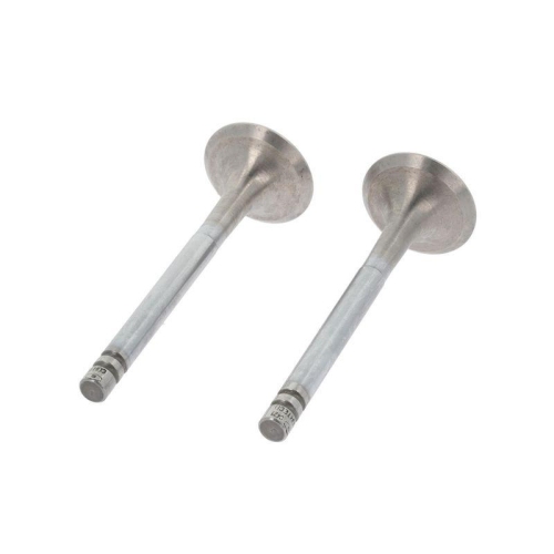 CORTECO Auslassventil 552748B