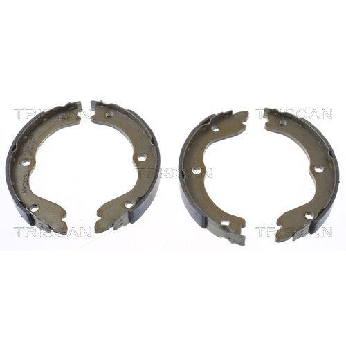 TRISCAN Bremsbackensatz, Feststellbremse 8100 14006