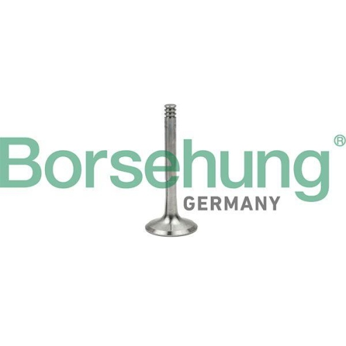 Borsehung Auslassventil B18997