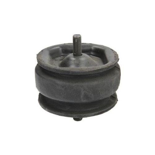 REINHOCH Lagerung, Motor RH11-4002