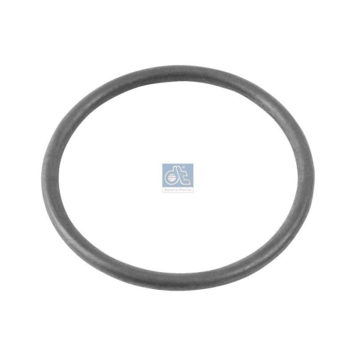 DT Spare Parts Dichtring 4.20312