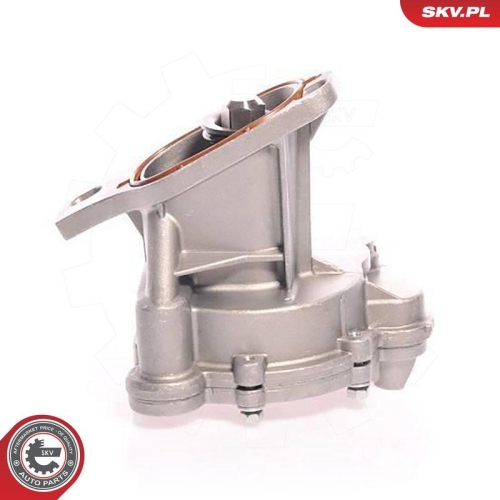 ESEN SKV Unterdruckpumpe, Bremsanlage 18SKV006