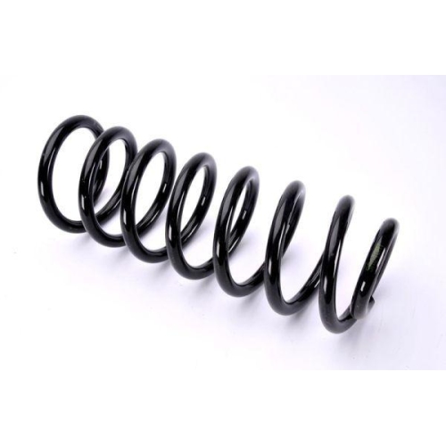 Magnum Technology Fahrwerksfeder SA040MT