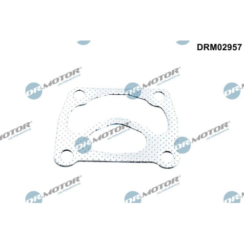 Dr.Motor Automotive Dichtung, Lader DRM02957
