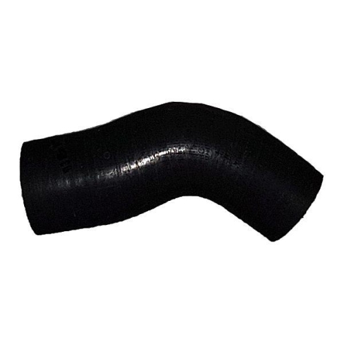 BUGIAD Ladeluftschlauch 88581