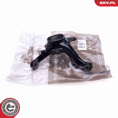 ESEN SKV Achsschenkel, Radaufh&auml;ngung 47SKV181