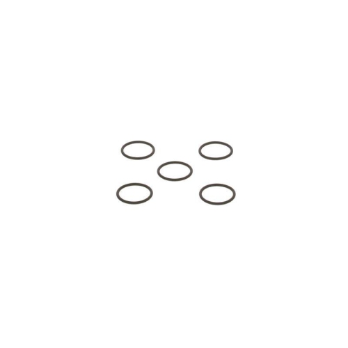 BOSCH Dichtring F 00R J01 878
