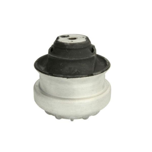 REINHOCH Lagerung, Motor RH11-3003