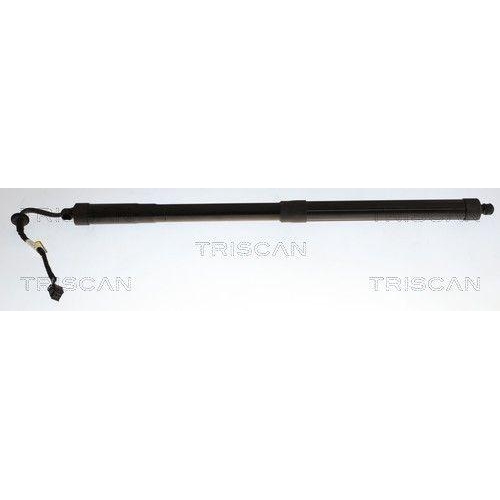 TRISCAN Gasfeder, Koffer-/Laderaum 8710 43316