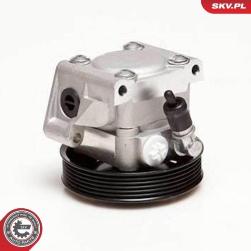 ESEN SKV Hydraulikpumpe, Lenkung 10SKV001