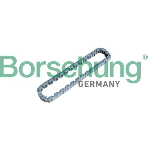 Borsehung Steuerkette B17905