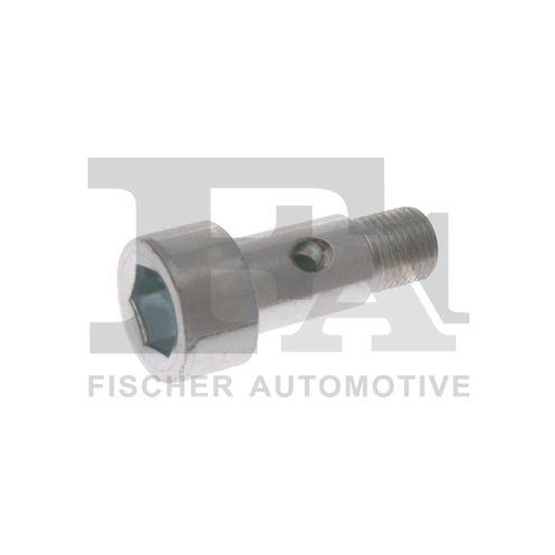 FA1 Hohlschraube, Lader 989-10-005