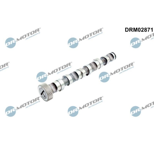 Dr.Motor Automotive Nockenwelle DRM02871