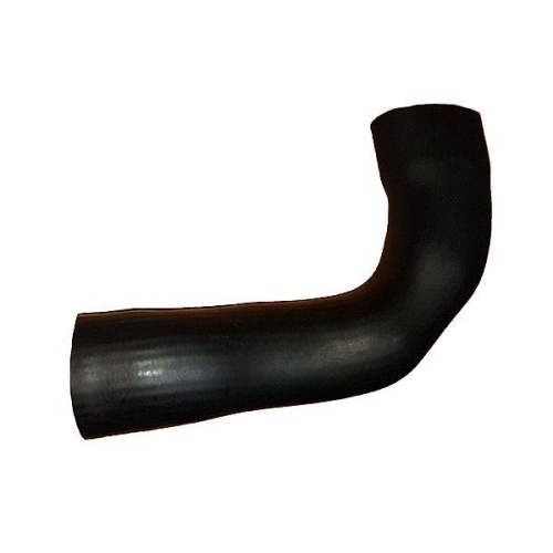 BUGIAD Ladeluftschlauch 88836