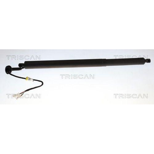 TRISCAN Gasfeder, Koffer-/Laderaum 8710 23320