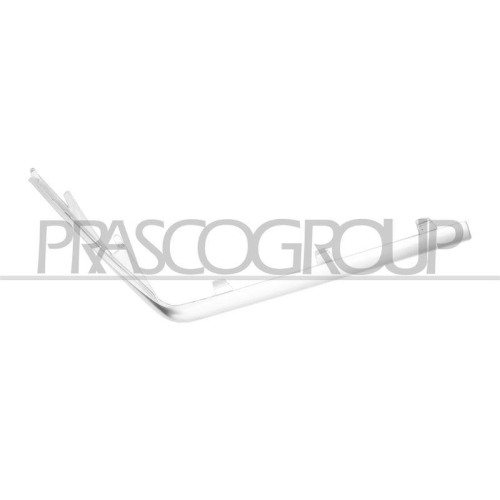 PRASCO Zier-/Schutzleiste, Sto&szlig;f&auml;nger ME0471284