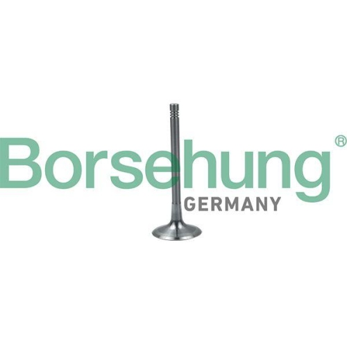 Borsehung Einlassventil B19024