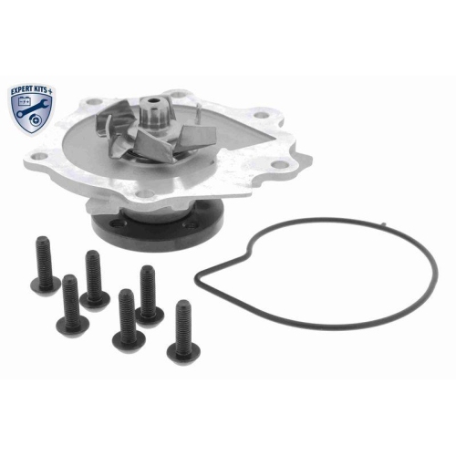 VAICO Wasserpumpe, Motork&uuml;hlung EXPERT KITS + V95-50014