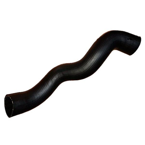 BUGIAD Ladeluftschlauch 88837