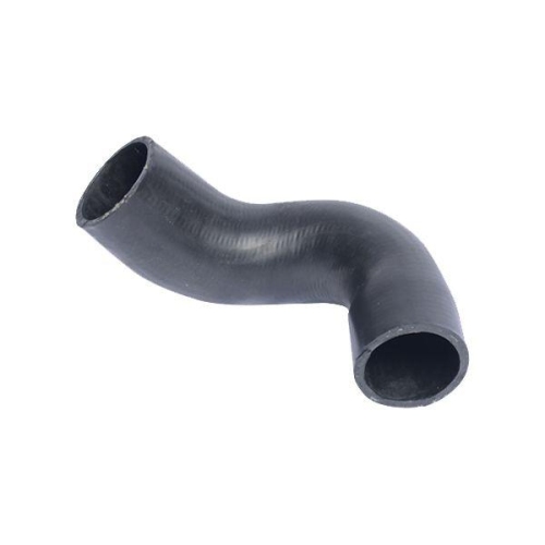 BUGIAD Ladeluftschlauch 88591