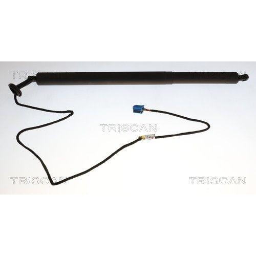 TRISCAN Gasfeder, Koffer-/Laderaum 8710 23321
