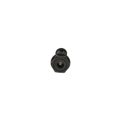 BOSCH Ventil, Einspritzanlage F 00N 203 165