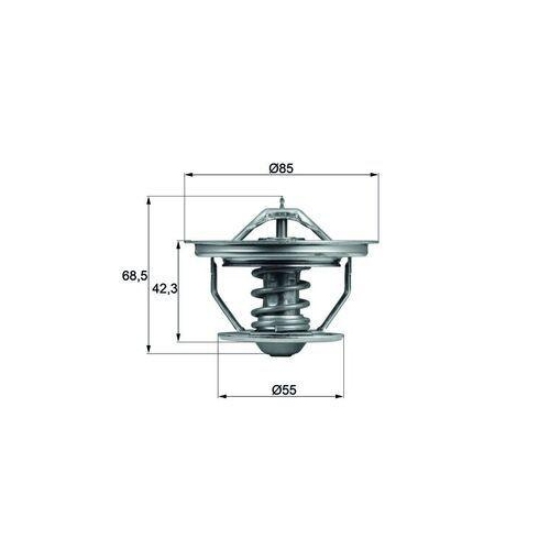 MAHLE Thermostat, K&uuml;hlmittel BEHR TX 57 79