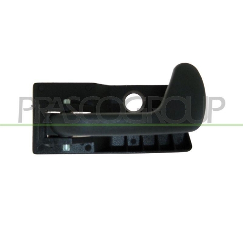 PRASCO T&uuml;rgriff, Innenausstattung FT1328402