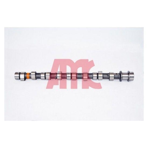 AMC Nockenwelle 665842