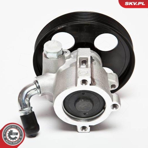 ESEN SKV Hydraulikpumpe, Lenkung 10SKV002