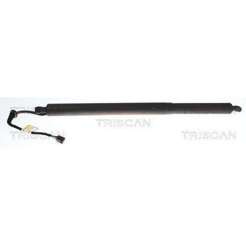 TRISCAN Gasfeder, Koffer-/Laderaum 8710 43317