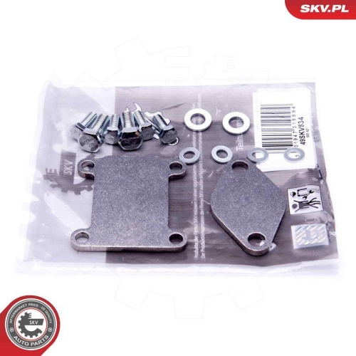 ESEN SKV Reparatursatz, AGR-Ventil 14SKV502