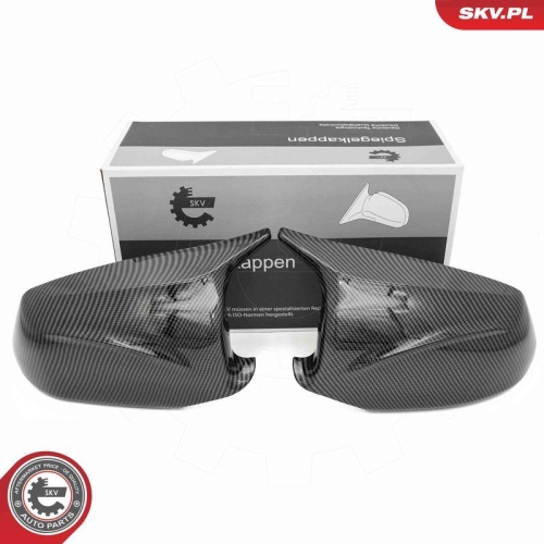 ESEN SKV Abdeckung, Außenspiegel